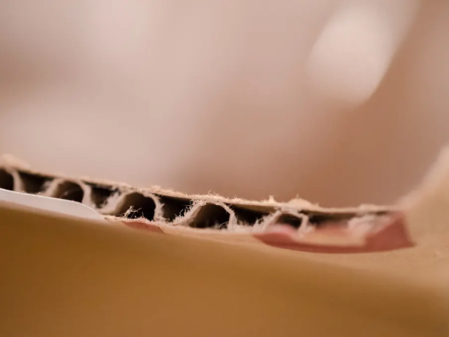 Close-up of the fluted edge of corrugated cardboard